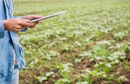 Agricultor registrando la actividad del campo